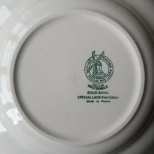 Load image into Gallery viewer, MOULIN DES LOUPS | Vintage plate ヴィンテージプレート1 | MOULIN DES LOUPS的复古板 - Stellina