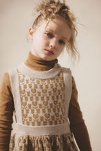 Load image into Gallery viewer, (Last1) Matilda dress-Spice