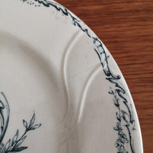 Load image into Gallery viewer, SALINS | Vintage plate ヴィンテージプレート Trianon | SALINS的复古板 - Stellina