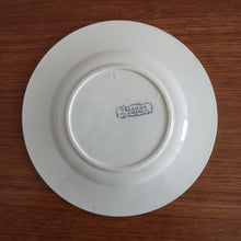 Load image into Gallery viewer, SALINS | Vintage plate ヴィンテージプレート Trianon | SALINS的复古板 - Stellina