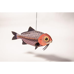 3D DECORATION GREETING CARD/envelope-Fish - Stellina