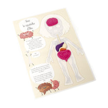 Load image into Gallery viewer, DIY - KIT MOULAGE EDUCATIF ANATOMIE - Stellina